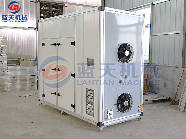小型妖精视频在线观看免费機